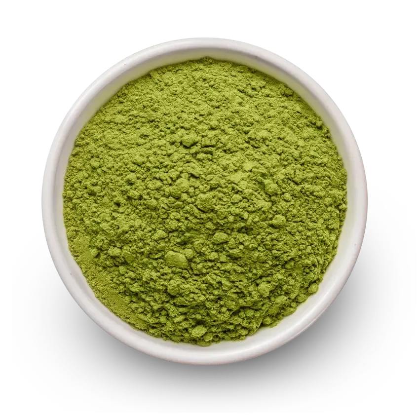 Barista Matcha